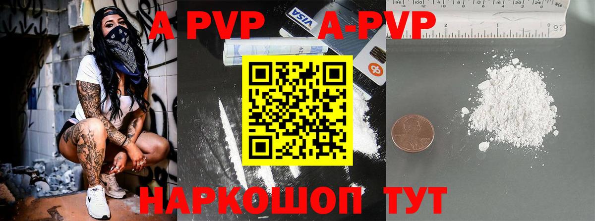 Alfa_PVP СК КРИС Краснодар