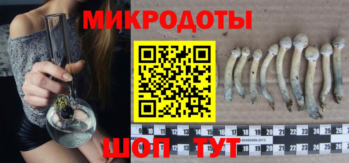 Краснодар  Псилоцибиновые грибы Psilocybe  Псилоцибиновые грибы GOLDEN TEACHER  Вход с VPN 